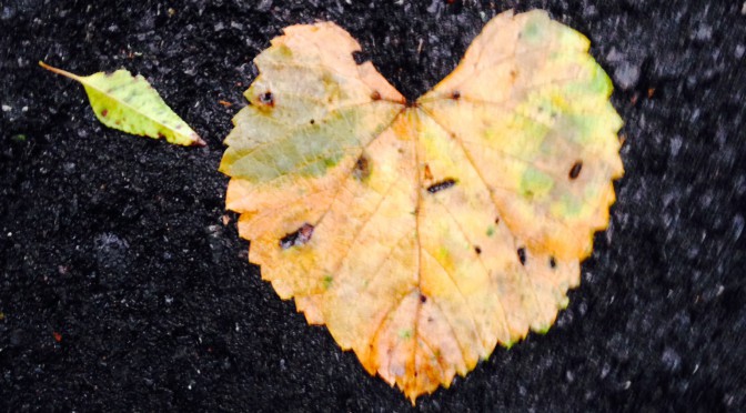 Home Heart Leaf